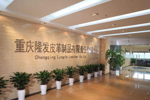 重慶隆發皮革制品有限責任公司的信息咨詢服務研究